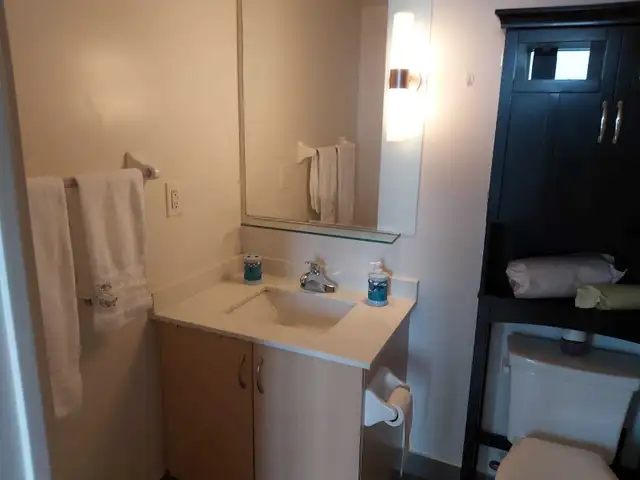 High-End Furnished Condo for Rent - Photo 8
