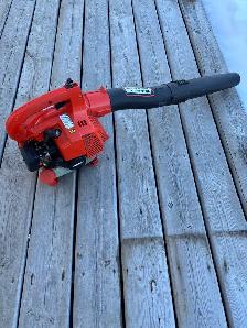 echo leaf blower