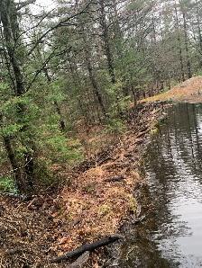 Nuisance Wildlife Removal - Photo 9