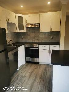 Modern Spacious 1 BR Apartment - Photo 4