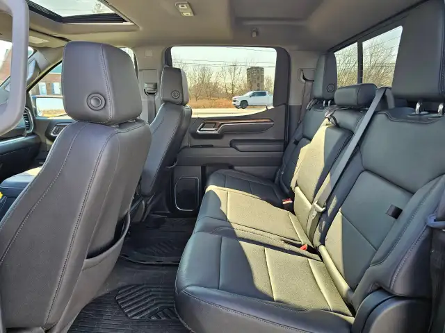 2025 Chevrolet Silverado 1500 - Photo 20