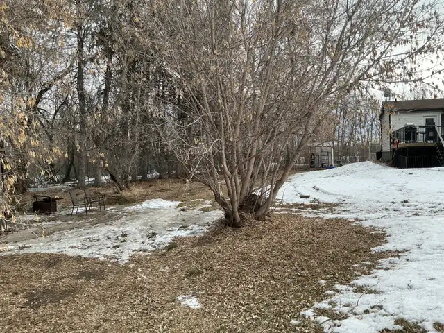 Acreage For Sale Location location location - Photo 5