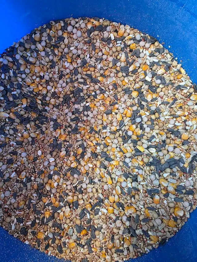 Pigeon food mix for sale
