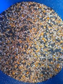 Pigeon food mix for sale - Photo 2