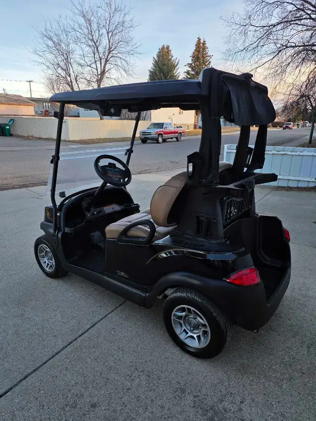 2022 Lithium Golf Cart - Photo 4