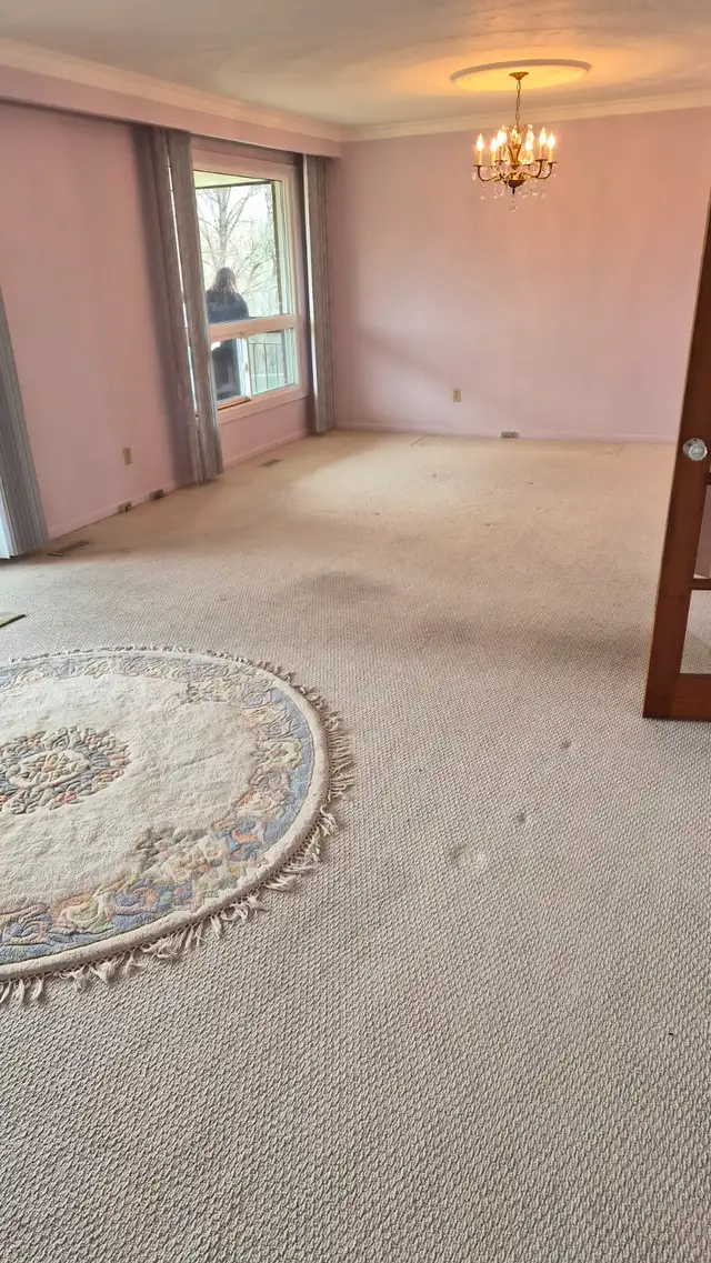 3 Bed Room House For Rent Near Humber Collage - Photo 10