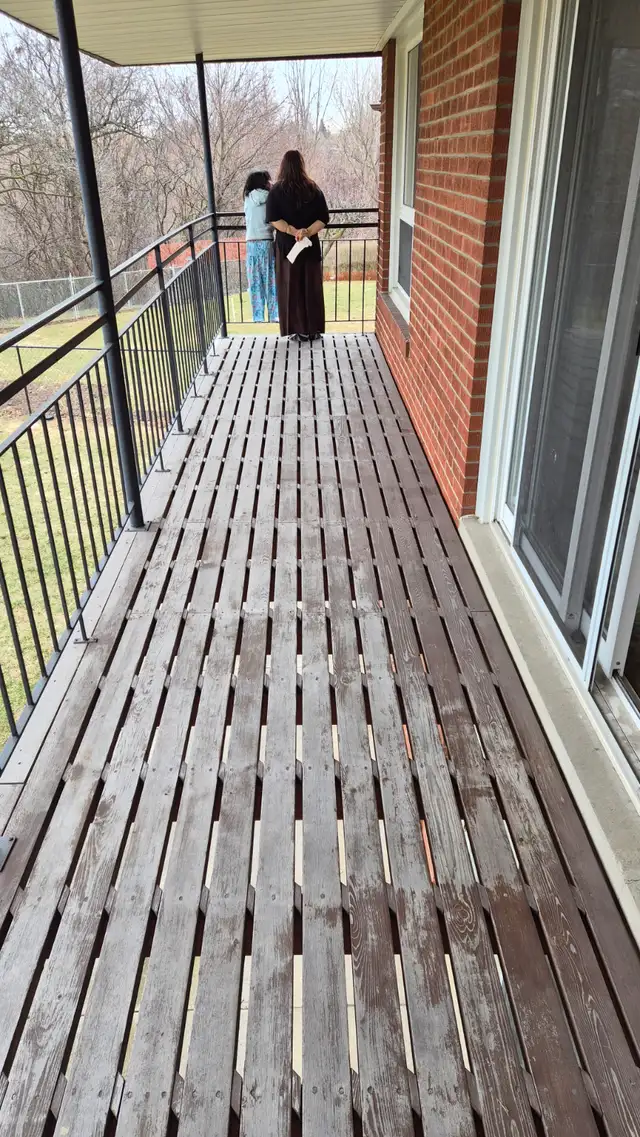 3 Bed Room House For Rent Near Humber Collage - Photo 11