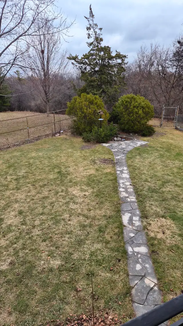 3 Bed Room House For Rent Near Humber Collage - Photo 12