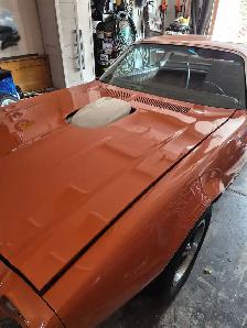 73formula firebird - Photo 6