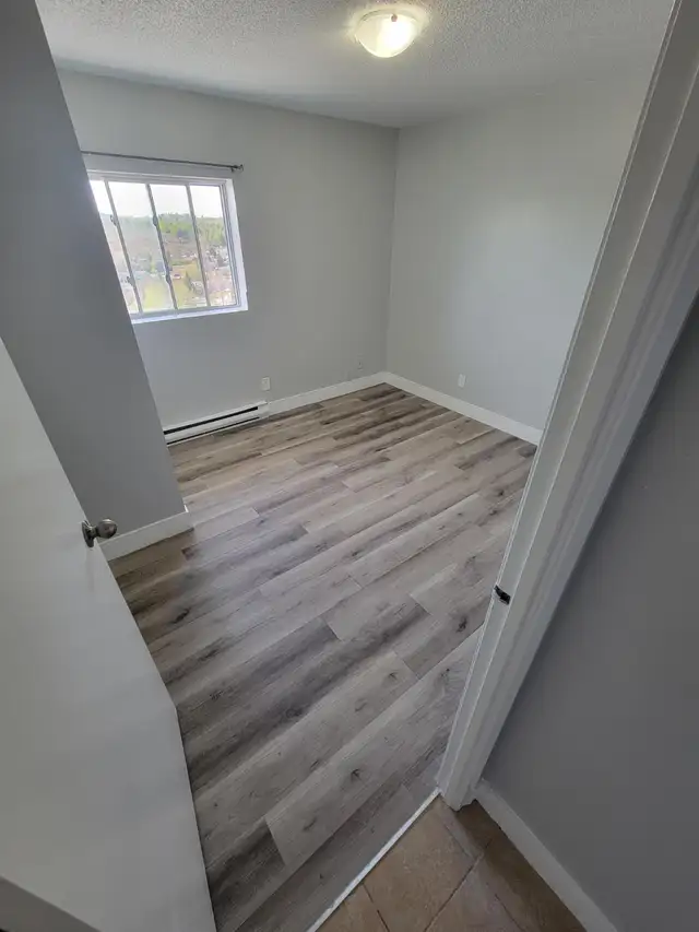 3 Bedroom Apartment Available May 1st in Minnow Lake Area - Photo 5