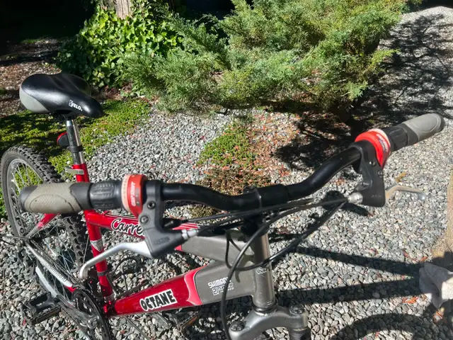 CARRERA OCTANE MOUNTAIN BIKE - Photo 3