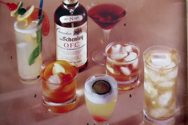 Livret de 240 Cocktails - Photo 9