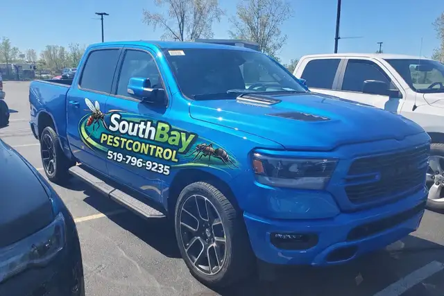 pest control - Photo 3