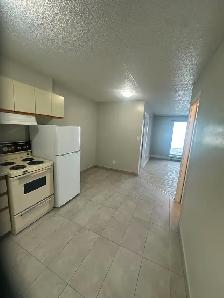 One Bedroom Available Now in Minnow Lake