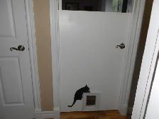 Cat's Room 2 Piece Door