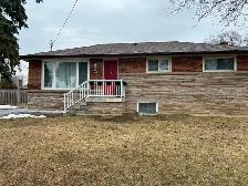 1 bedroom plus den Basement Apartment for rent in Hamilton