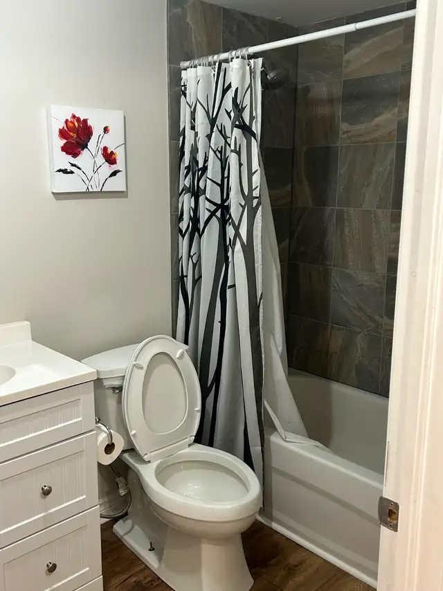 1 bedroom plus den Basement Apartment for rent in Hamilton - Photo 2