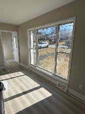 49 Celtic Drive, Dartmouth - Available April 1st - Photo 8