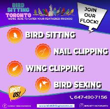 BIRD SITTING IN MISSISSAUGA! - Photo 2