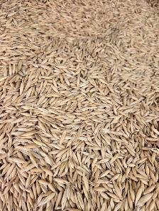 totes of feed oats - Photo 2