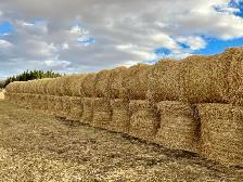 Hay for Sale