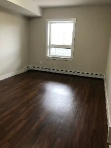 Two Bedroom   Den - Two Bathroom - Available April or May 1st - Photo 2