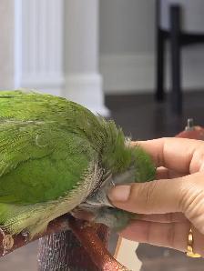 Rehoming of Quaker - Photo 3