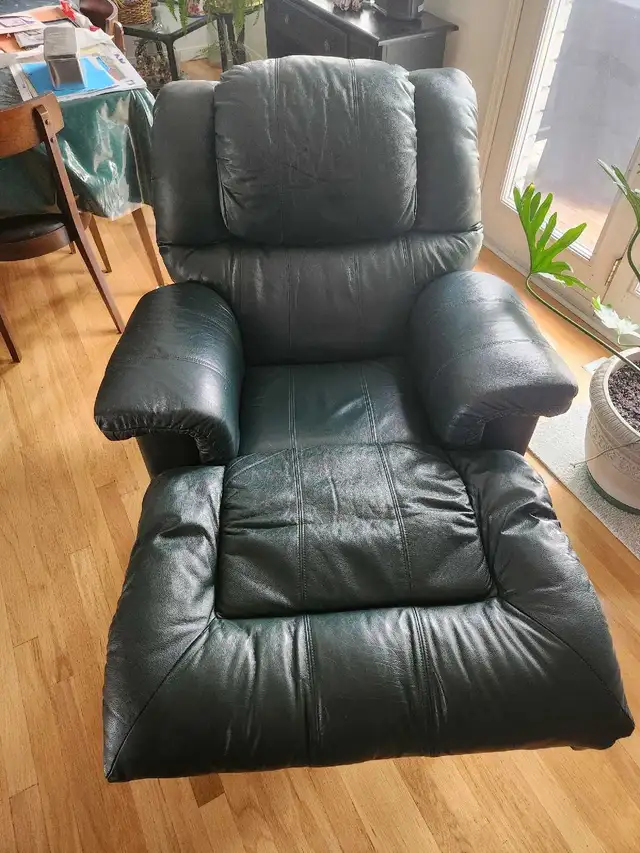 THEATER CHAIRS AND OTHER RECLINING CHAIRS - Photo 4