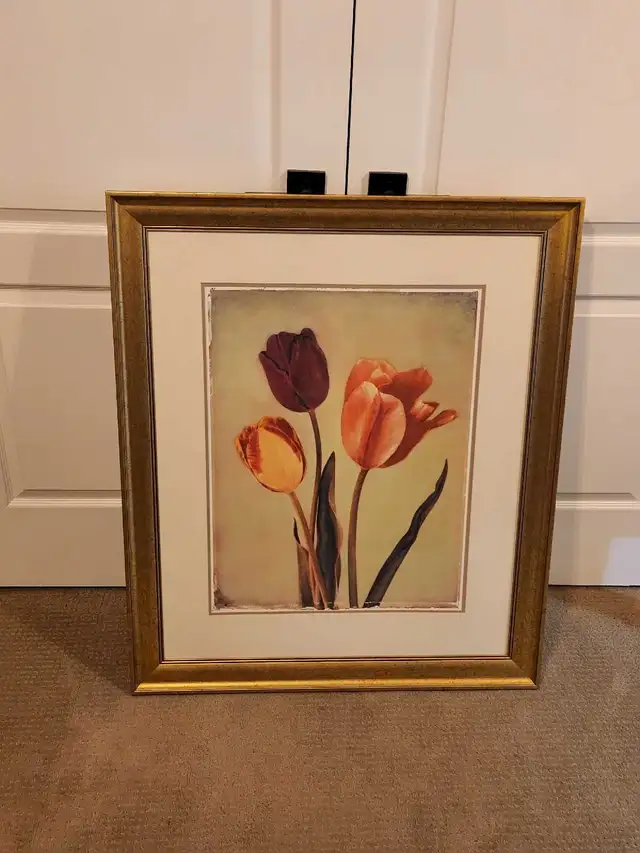 VARIOUS PICTURES - Photo 8