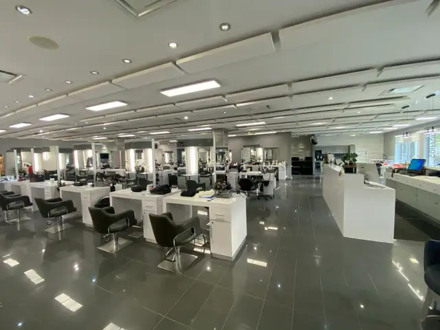 assistante - Photo 5