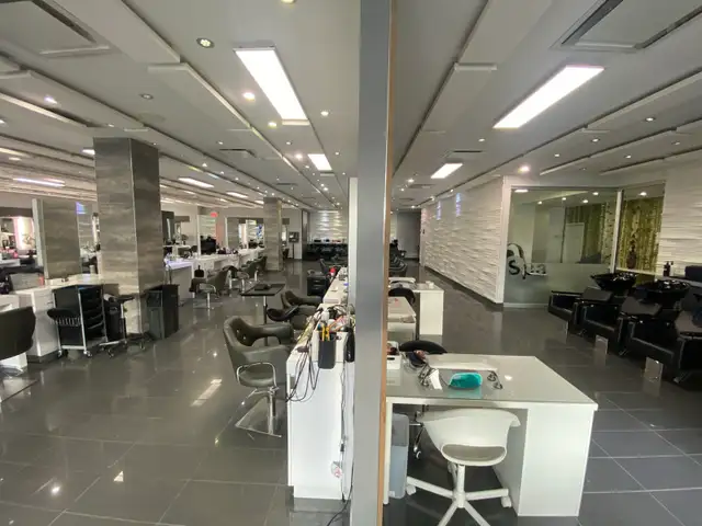 assistante - Photo 6