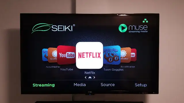 Seiki TV Repair, LCD TV, LED TV, No Power, No Picture, No Sound.