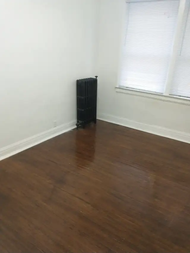 Large one bedroom apartment. Jackson park.  $1,200 - Photo 4