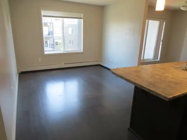 2 beds, 2bath apartment in Windermere, 50% off 1st month rent - Photo 4