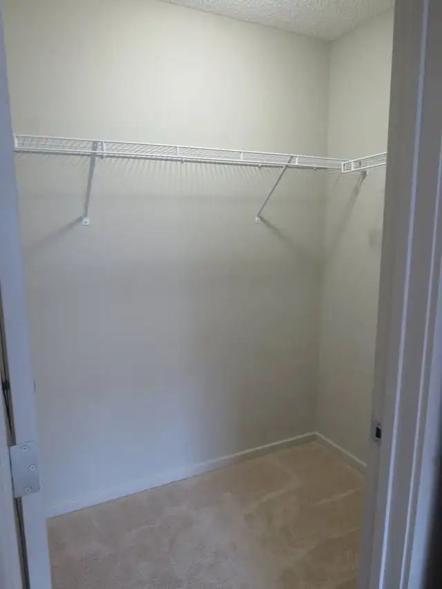 2 beds, 2bath apartment in Windermere, 50% off 1st month rent - Photo 9