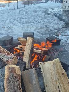 Premium Tamarack Firewood for sale