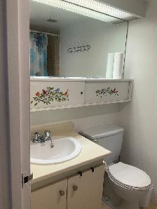 3 ½ Apartment Lease Transfer– Nun’s Island– $1267 (Below Market) - Photo 6