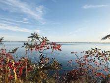 3 ½ Apartment Lease Transfer– Nun’s Island– $1267 (Below Market) - Photo 9