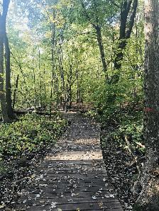 3 ½ Apartment Lease Transfer– Nun’s Island– $1267 (Below Market) - Photo 10