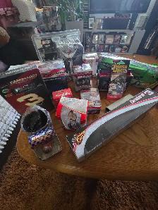 Dale earnhardt and nascar lot