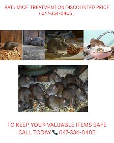 PEST CONTROL & WILDLIFE REMOVAL 647-334-0405 - Photo 3