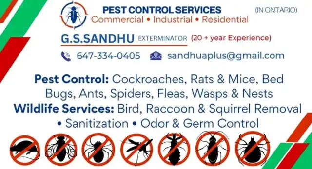 PEST CONTROL & WILDLIFE REMOVAL 647-334-0405 - Photo 5