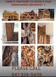 PEST CONTROL & WILDLIFE REMOVAL 647-334-0405 - Photo 8