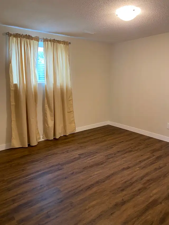 NEW RENOD 2BR Bsmt-new ktchn/bath/flr exclusive fncd yrd/Pet-OK - Photo 6