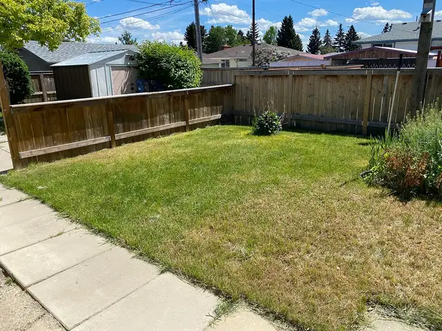 NEW RENOD 2BR Bsmt-new ktchn/bath/flr exclusive fncd yrd/Pet-OK - Photo 14