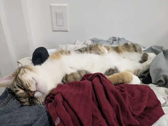 Looking for extra cash work