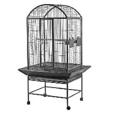 Quaker and medium parrot- High quality HAGEN/ HARI 200$ discount