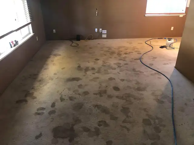 Carpet And Rug Cleaning In Affordable price - Photo 4