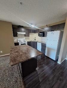 contact us today - Photo 2