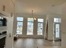 contact us today - Photo 8